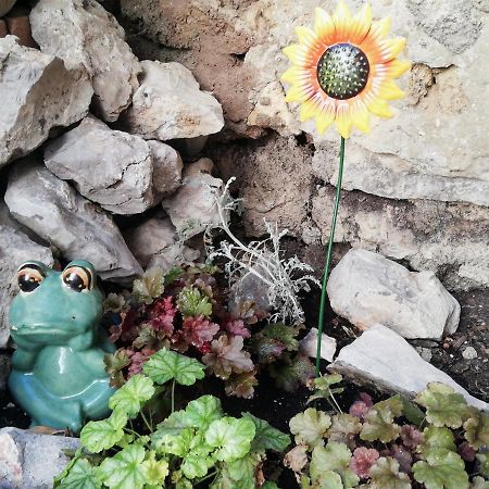 Charmant Appartement En Centre-Ville Medieval Gigean ภายนอก รูปภาพ