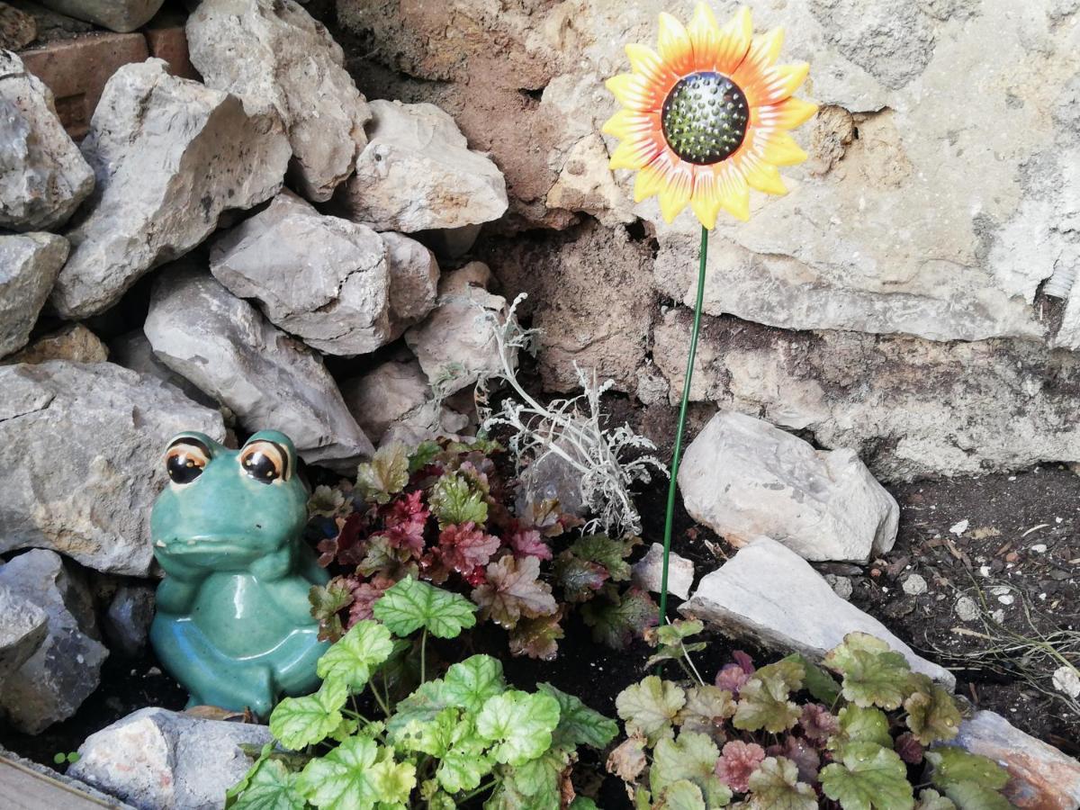 Charmant Appartement En Centre-Ville Medieval Gigean ภายนอก รูปภาพ
